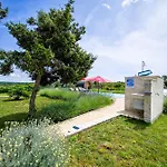 Bella Di Campo *
