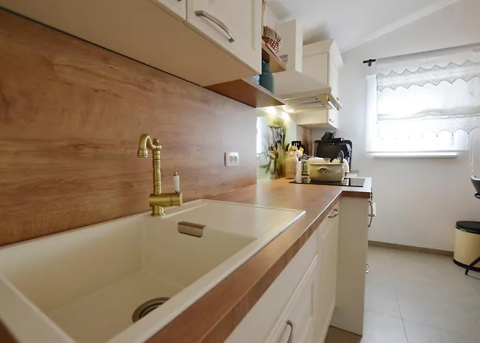 Bella Di Campo * 로비니